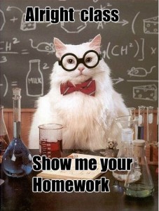 teacher